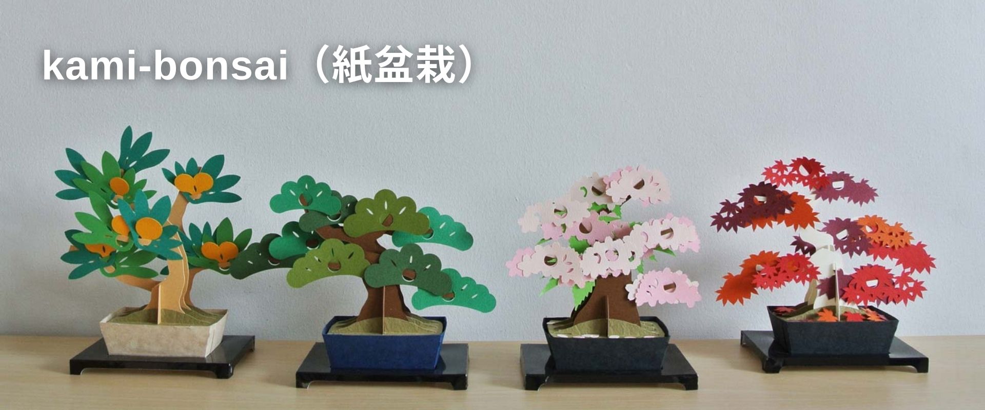 kami-bonsai-top2.jpg