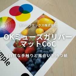 OKミューズガリバーマット