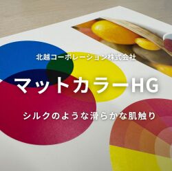 マットカラーHG