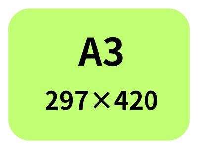 A3