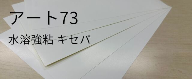 アート73　水溶強粘キセパ