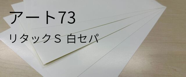 アート73　リタックS　白セパ