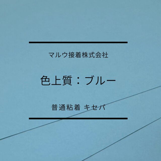 色上タックブルー　普通　キセパ