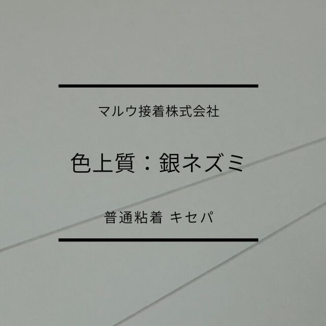 色上タック銀鼠　普通　キセパ