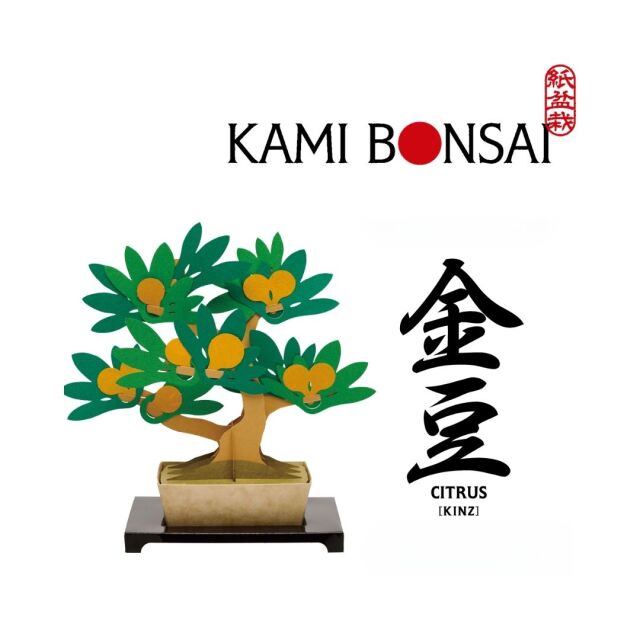 kami-bonsai金豆