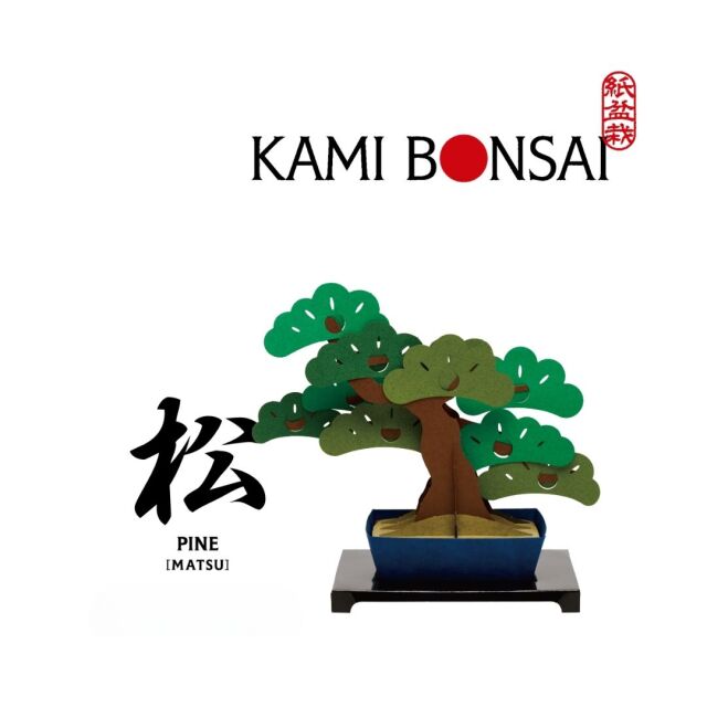 kami-bonsai松