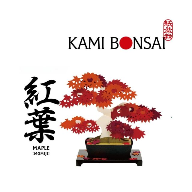 kami-bonsai紅葉