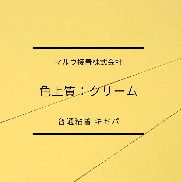 色上タッククリーム　普通　キセパ