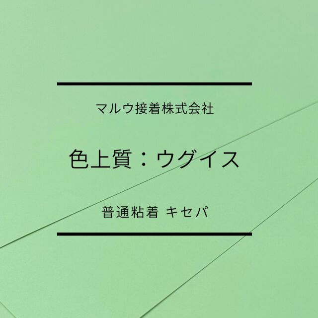 色上タックウグイス　普通　キセパ