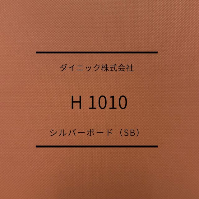 H1010