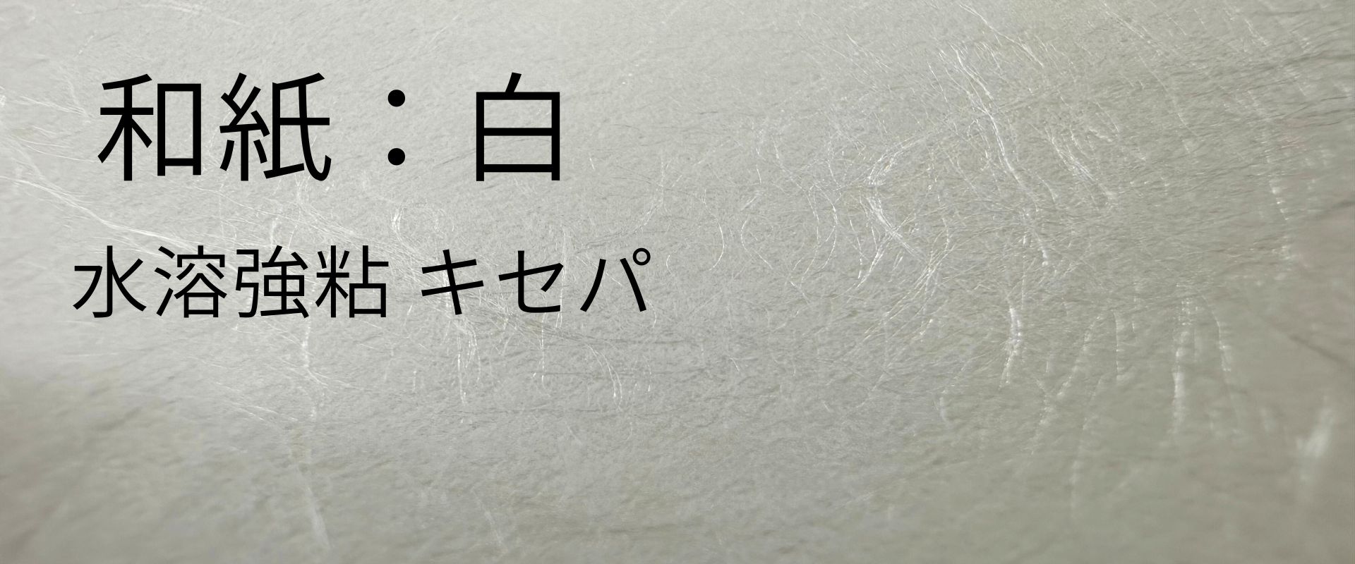washi-siro9.jpg
