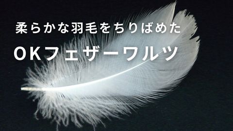 OKフェザーワルツ｜紙のソムリエ