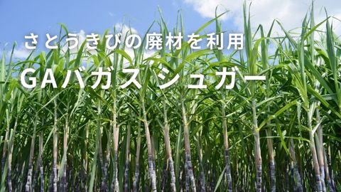 GAバガス シュガー｜紙のソムリエ