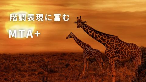 階調表現に富むMTA+-FS