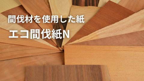 間伐材を使った非塗工紙エコ間伐紙N