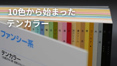 用途が広いテンカラーの活用シーン